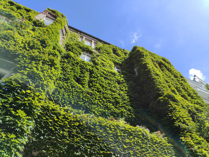 Ein mit dem Oneplus 10T gemachtes Bild (Bild: Tobias Költzsch/Golem.de)